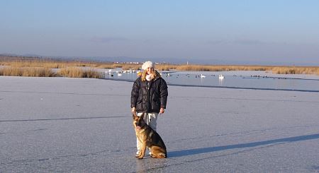 Eislaufen mit Seevoegeln